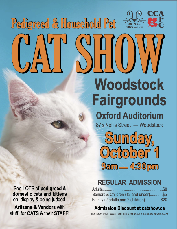 image from Pedigreed & Household Pet Cat Show