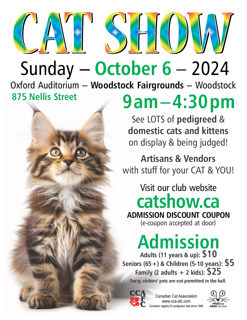 image from Pedigreed & Household Pet Cat Show